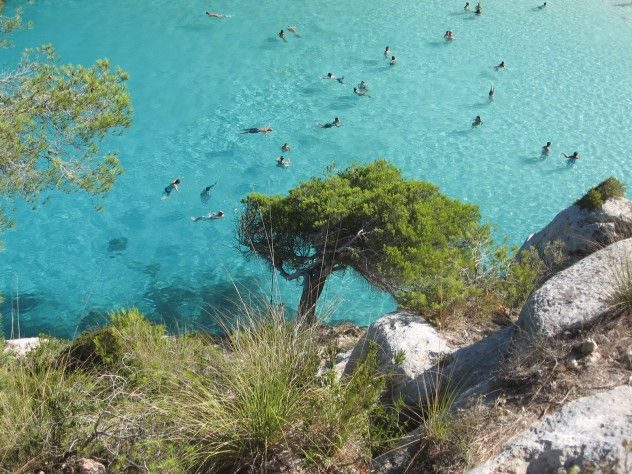 alberi a Macarelleta