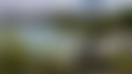 L’isola di Porquerolles