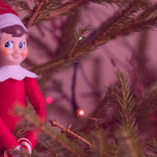 Market Through the Social Chaos