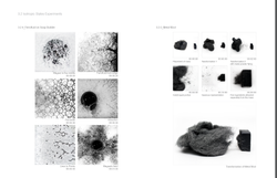 Brett Lee_Final Booklet17