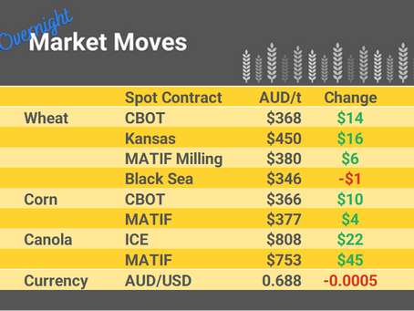 Grain Report Monday - 19th June