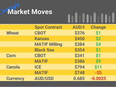 Grain Report Tuesday - 20th June