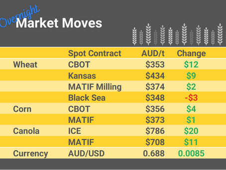 Grain Report Friday - 16th June
