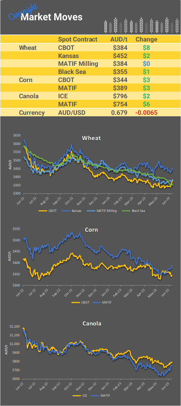 Chart including Wheat CBOT prices, Wheat Black Sea prices, Canola ICE prices and Canola MATIF prices