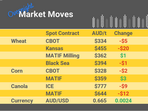 Grain Report Monday - 22nd May