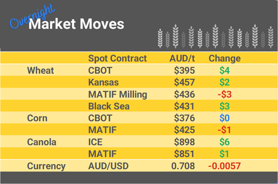 Grain Report Friday - 03rd February