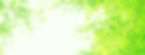 3274756_m_edited_edited.jpg