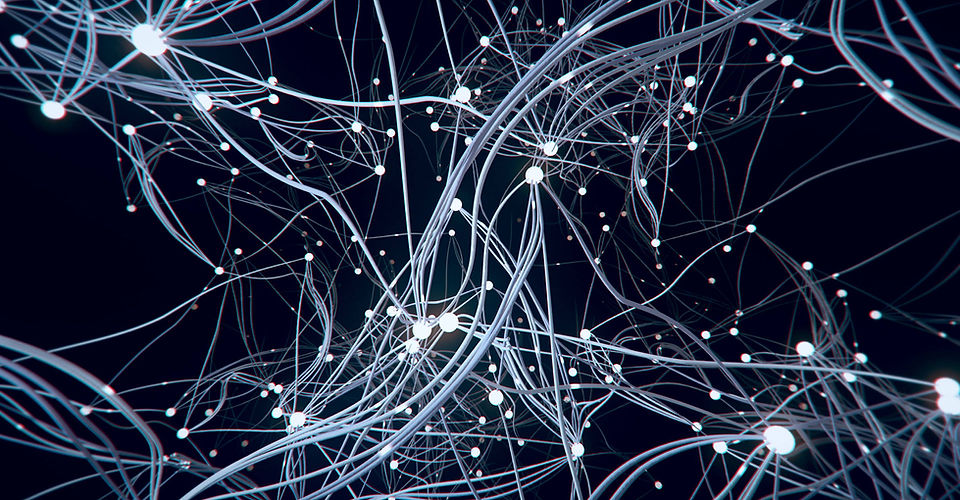 AI_Network_72dpi.jpg