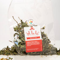 Diente de León 2.jpg