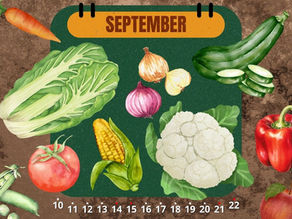 September’s ✨Seasonal Bites✨