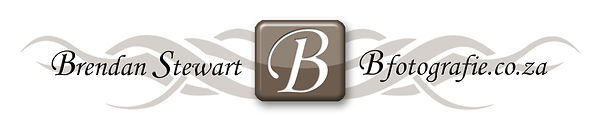 2020 Logo.jpg