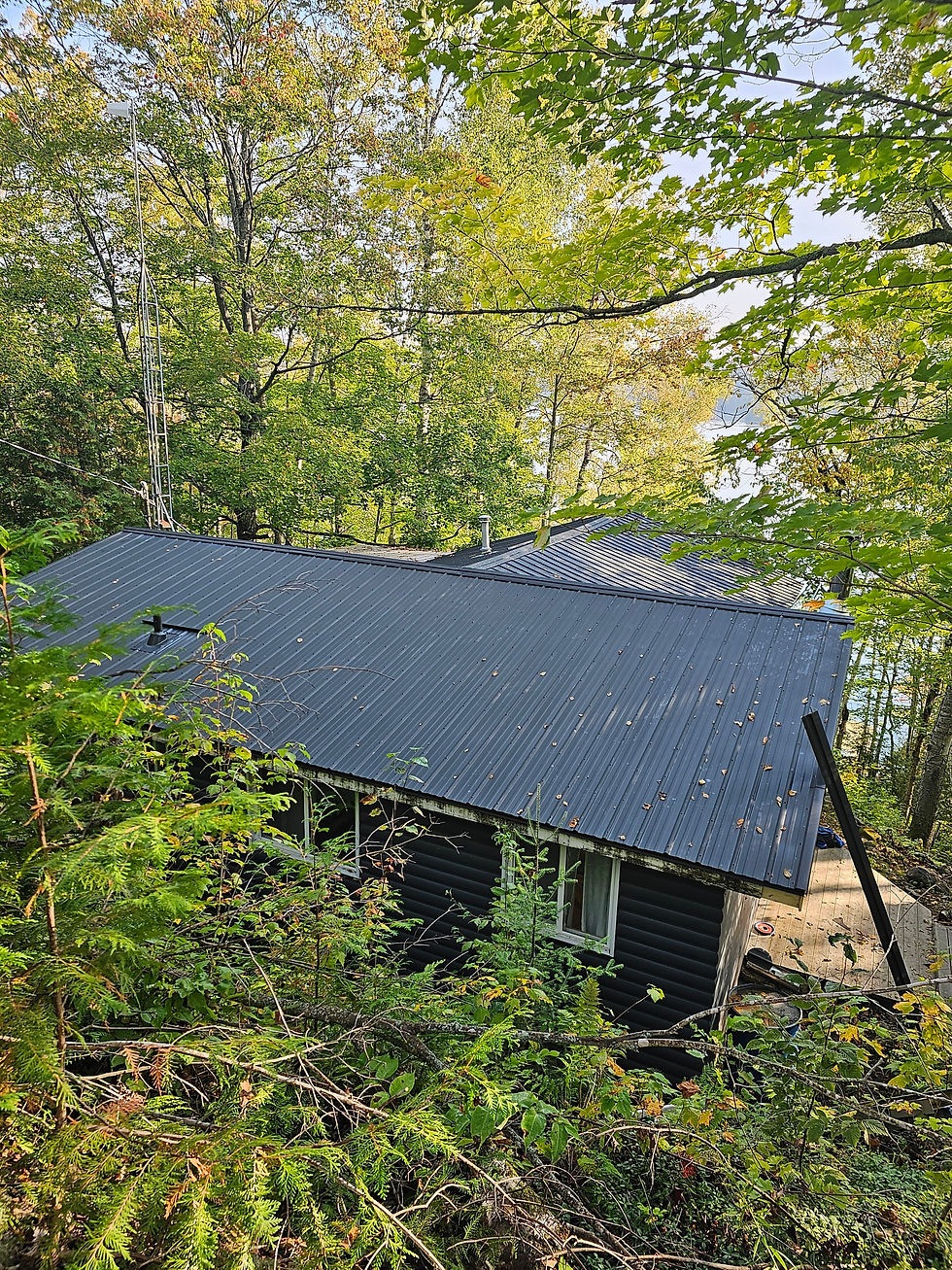 Steel Roof
