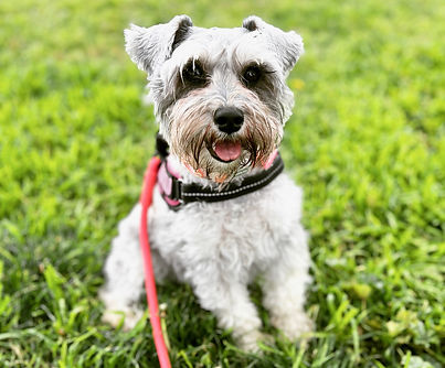 E63C6C7E-69A4-4EC1-B39A-1BBB1FCE2AF8 (1).jpg