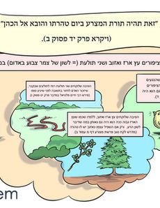 Parashat Metzora - Hebrew.jpg