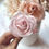 Thumbnail: Silky Flexible Sugar Flower Paste Online Class: Round Petal Rose with Rose Scent