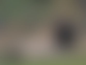 Tyd om 'n vinnige besluit te neem