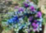 326639356_5340618542711106_6980730224692125442_n_edited.jpg