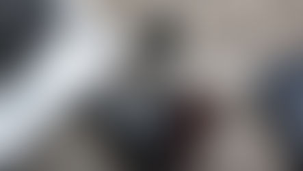 LOS CAMINOS DE LA VIHDA