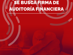 Convocatoria firma auditoria financiera externa