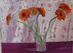 gerberas