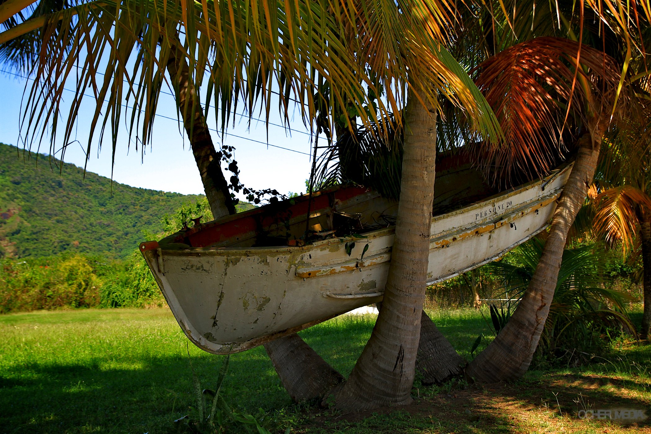Free Mooring.jpg