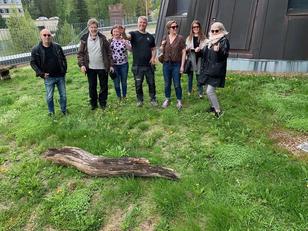 Tutkijat B2N-hankkeesta keräämässä aineistoa Hervannan Kampusareenan viherkatolla. Paikan ideaa, toteutusta ja monipuolista kasvillisuutta esittelivät Juha Luoma arkkitehtitoimistosta (vasemmalla) ja Henrik Bos viherkattoyrityksestä (keskellä). Kuva: Mervi Huhtelin.