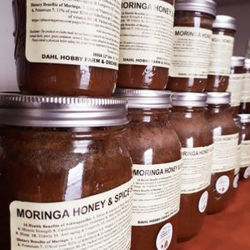 Moringa Honey & Spice