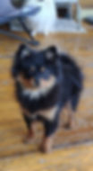 655500836_34467883699492879_5146951597605142579_n_edited.jpg