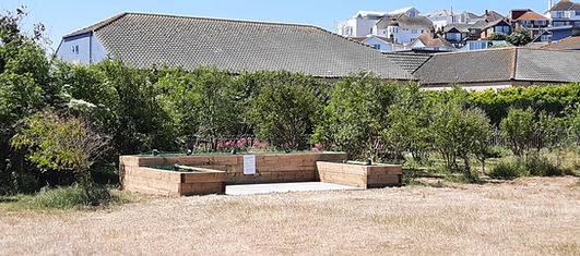 20200530_121300.jpg