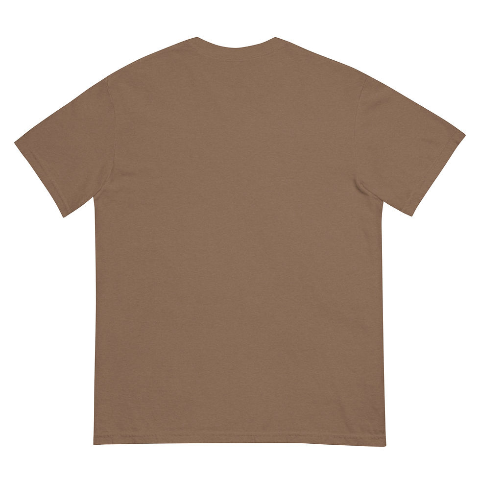 Thumbnail: From Arkansas. For Arkansas Unisex heavyweight t-shirt