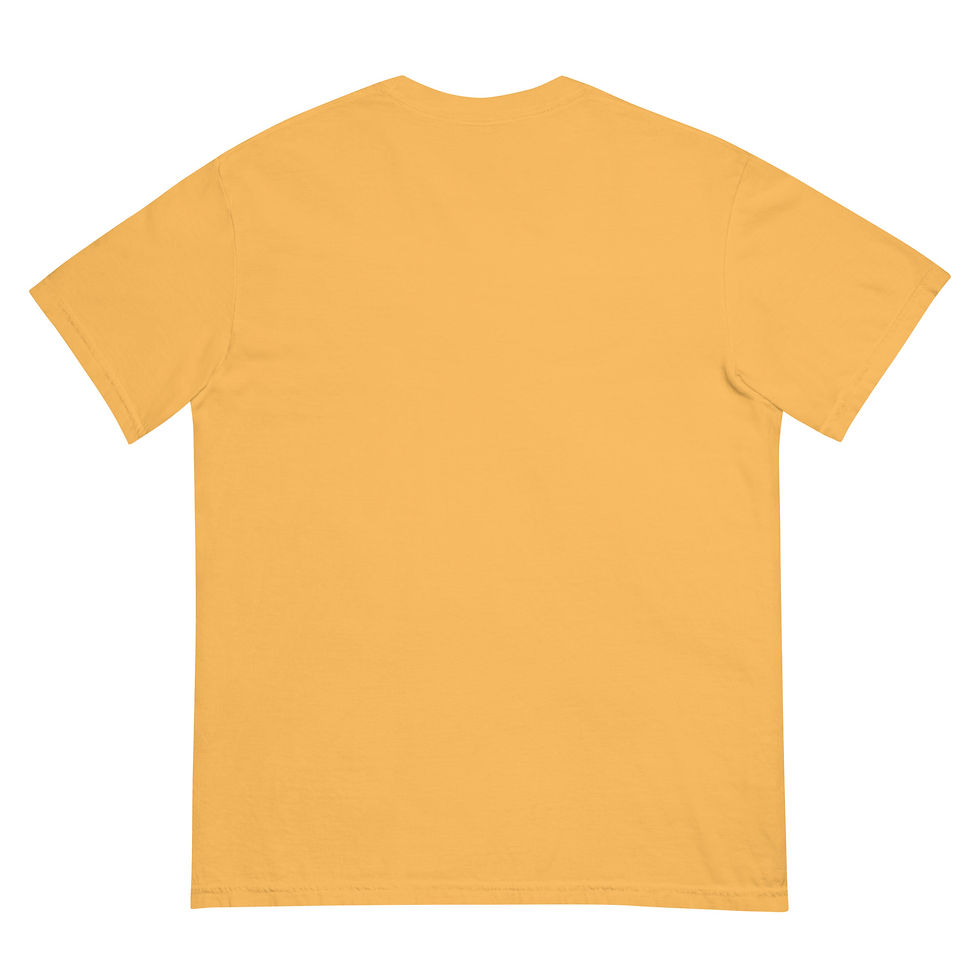 Thumbnail: From Arkansas. For Arkansas Unisex heavyweight t-shirt