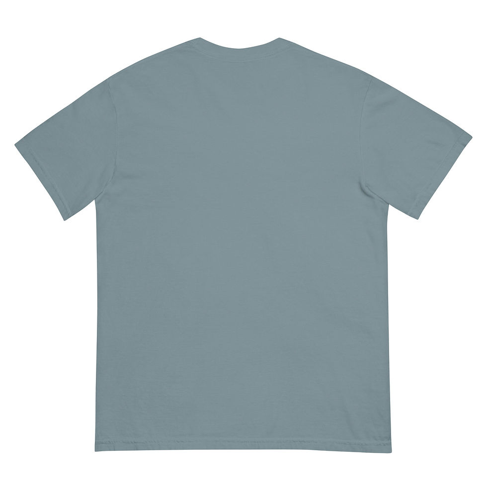 Thumbnail: From Arkansas. For Arkansas Unisex heavyweight t-shirt