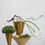 Thumbnail: Gold Empress Vase