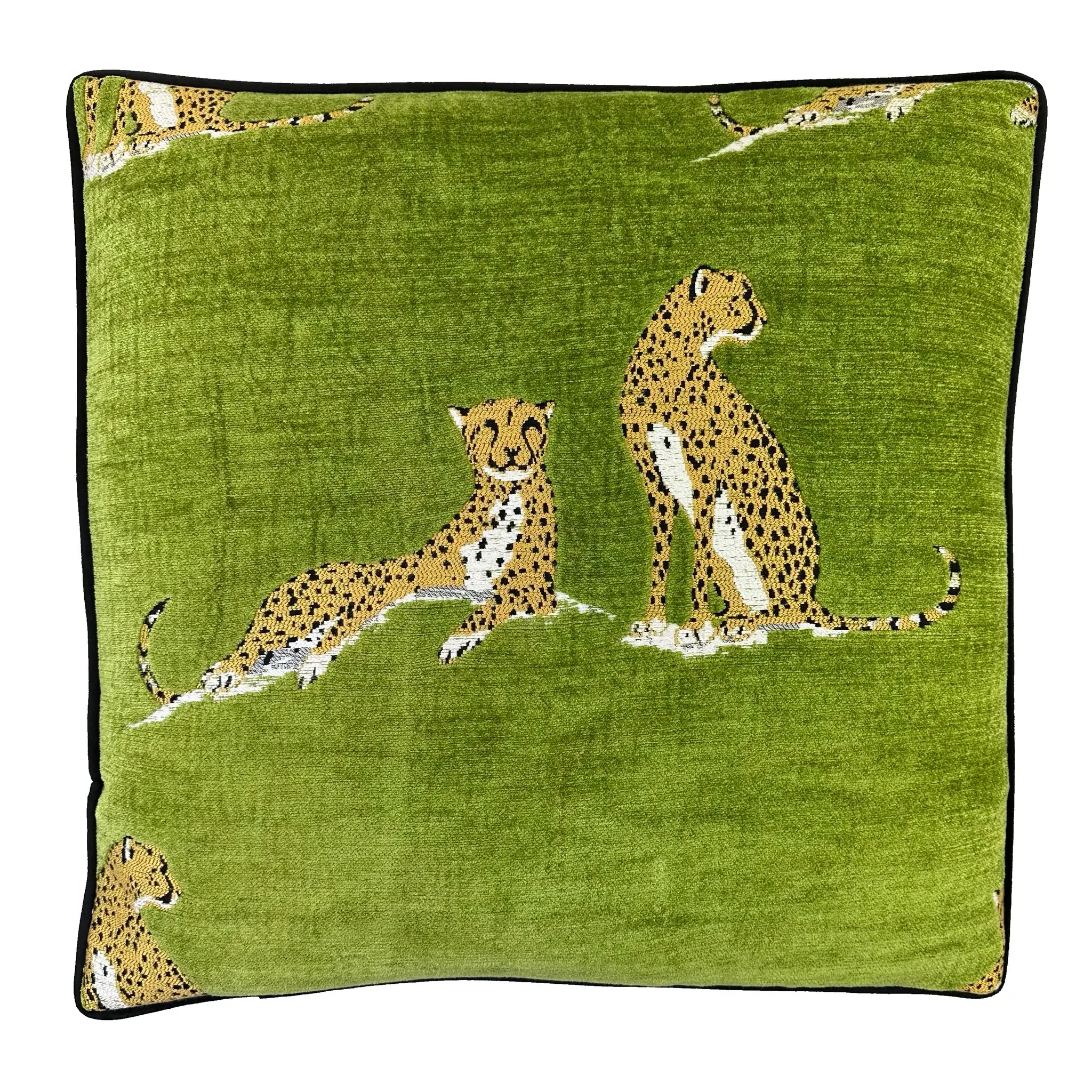 Tabbytha Lime Pillow