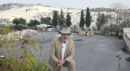 lower courtyard excavation
