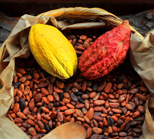 Cacao pods and Cacao Beans