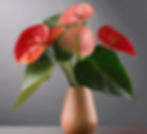 Anthurium arrangment_edited.jpg