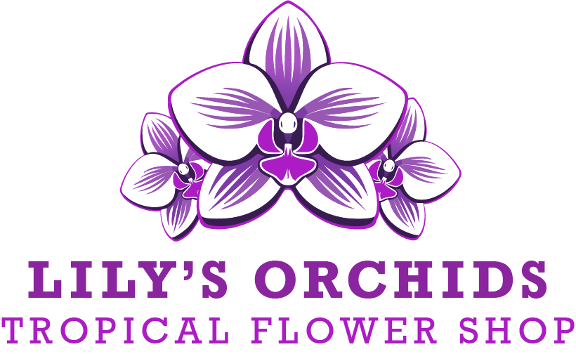 Lily's Orchids Logo.png