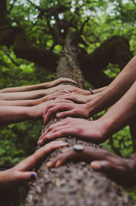 shane-rounce-DNkoNXQti3c-unsplash-2.jpg