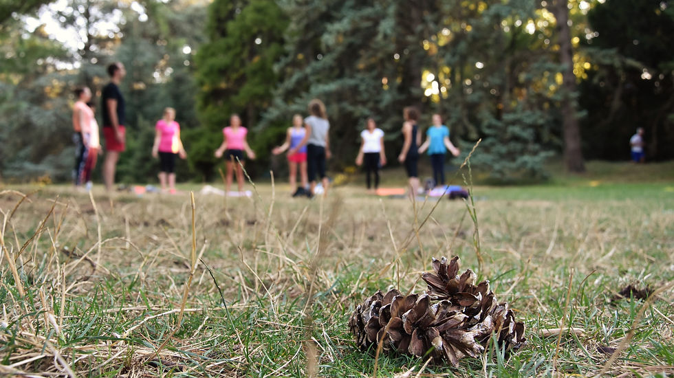 yoga au parc