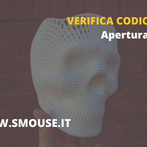 Apertura finestra per la verifica dei Codici Fiscali della Clientela