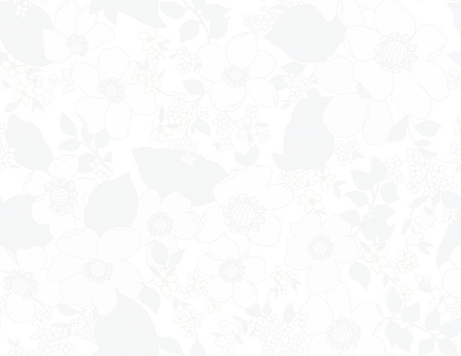 white-design-png-6.png