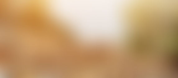 Caldaie a legna: tutto ciò che c'è da sapere