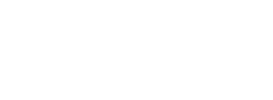 לוגו לבן.png