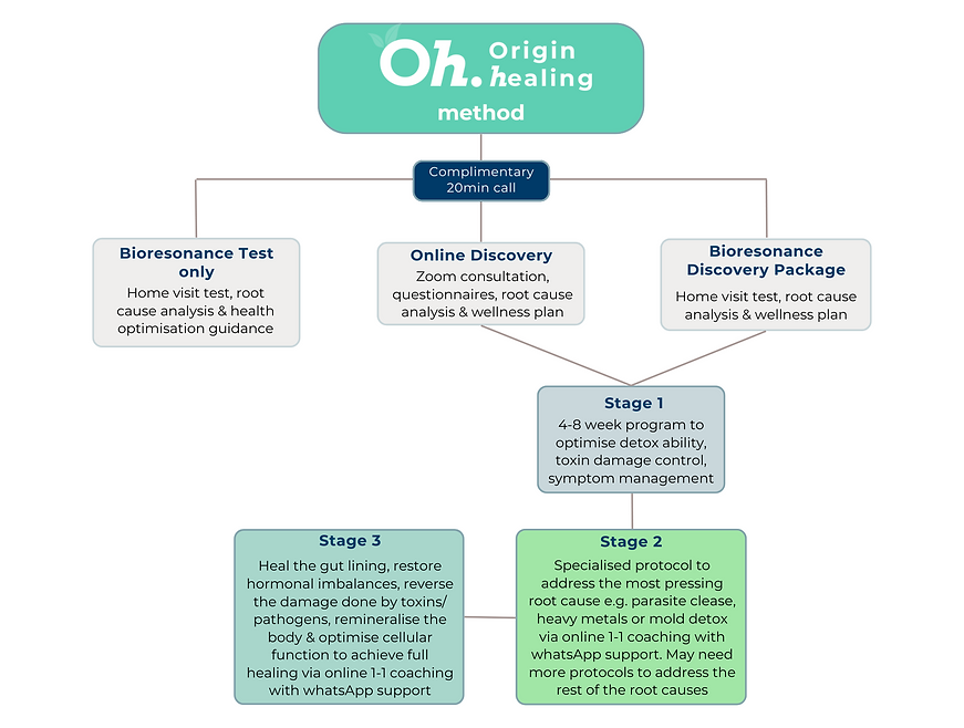 origin healing method structure (2).png