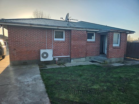 Pink Oyster Mushrooms