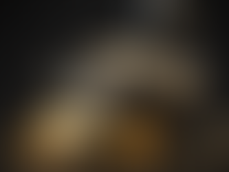 The Year of the Golden Goose - an introduction to Extreme Business 2025