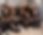 Team.png