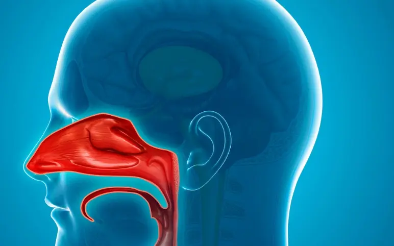 Side-view medical illustration of a blue human head with red nasal cavity and throat anatomy on a cyan background.