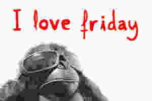 Happy monkey